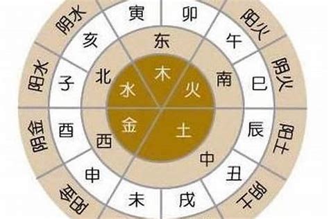 五行金偏旺|八字五行金旺代表什么 (八字金过旺是什么意思)